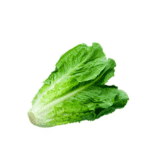 Lechuga Romana por Media Libra