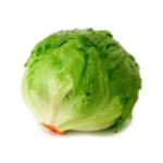 Lechuga